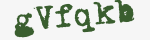 Enter these letters in the box below