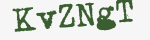 Enter these letters in the box below