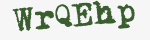 Enter these letters in the box below