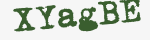 Enter these letters in the box below